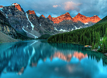 刚刚！特朗普，重大宣布